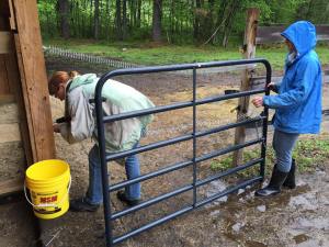 Fixing gate