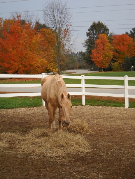 Screen Shot 2020-03-30 at 6.08.59 PM